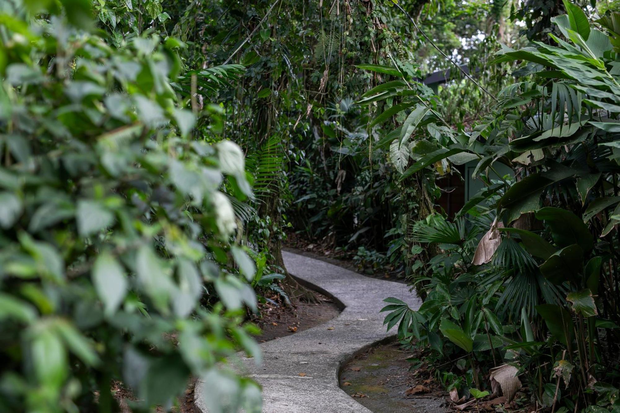 Sangregado Lodge La Fortuna Εξωτερικό φωτογραφία