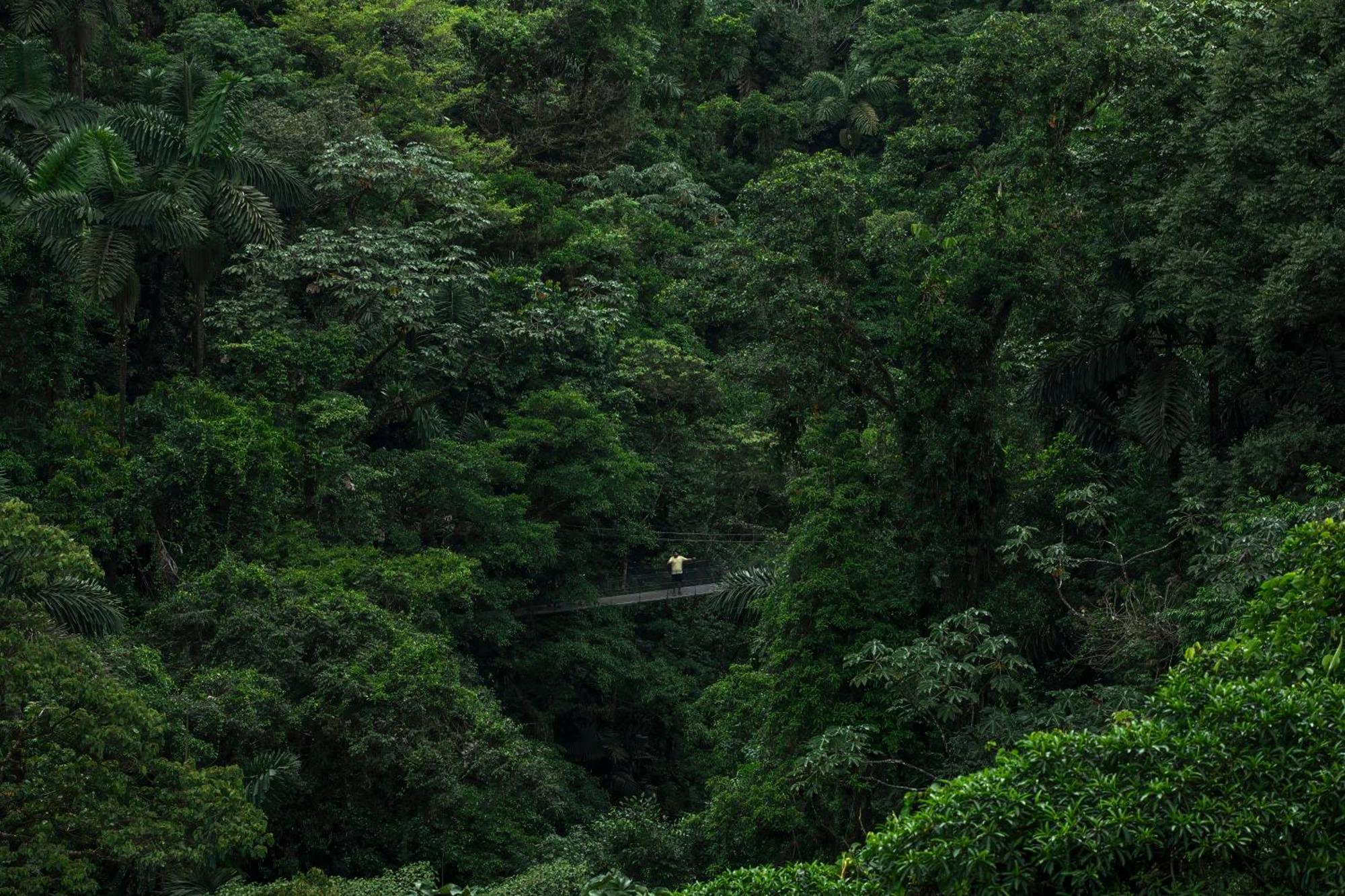 Sangregado Lodge La Fortuna Εξωτερικό φωτογραφία