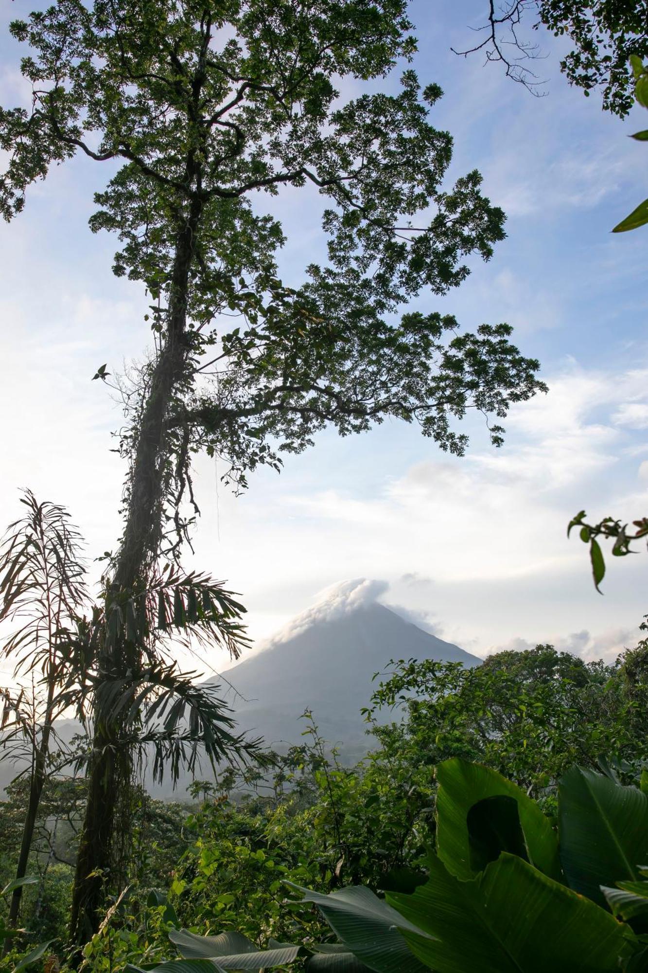 Sangregado Lodge La Fortuna Εξωτερικό φωτογραφία